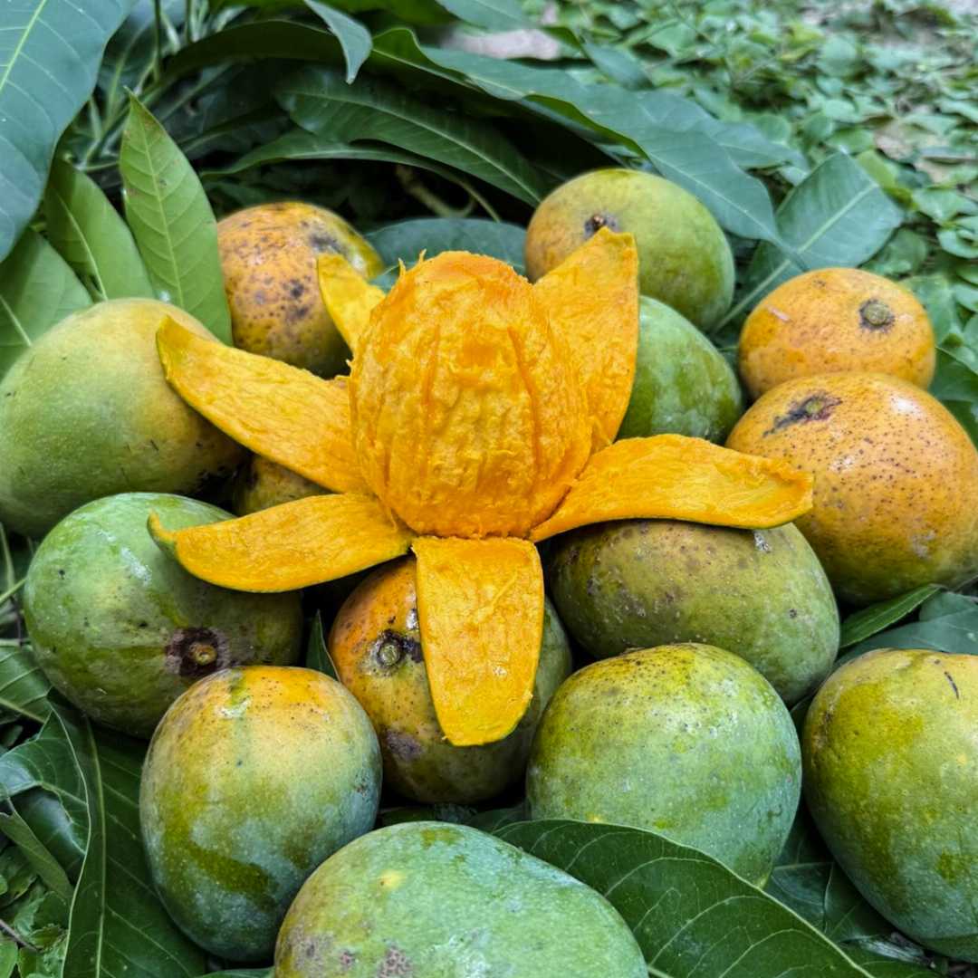 সুমিষ্ট,গোপালভোগ,আম